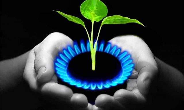 CORAL GAS – ΑΦΟΙ ΜΑΚΑΡΙΑΝ – ΦΙΑΛΕΣ ΥΓΡΑΕΡΙΟΥ ΝΕΑ ΜΟΥΔΑΝΙΑ ΧΑΛΚΙΔΙΚΗΣ