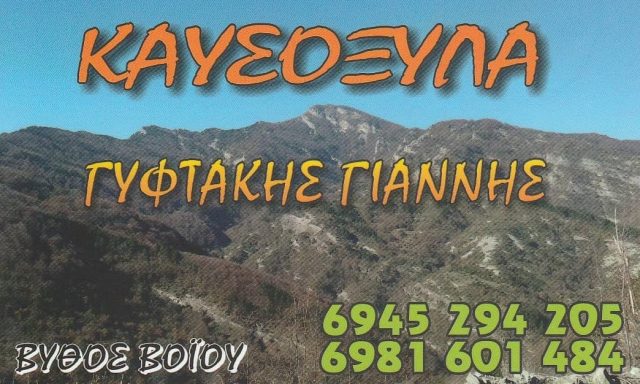 ΓΥΦΤΑΚΗΣ ΙΩΑΝΝΗΣ – ΔΑΣΙΚΑ ΠΡΟΙΟΝΤΑ – ΚΑΥΣΟΞΥΛΑ – ΝΕΑΠΟΛΗ ΚΟΖΑΝΗ