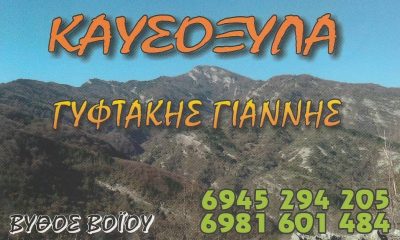 ΓΥΦΤΑΚΗΣ ΙΩΑΝΝΗΣ – ΔΑΣΙΚΑ ΠΡΟΙΟΝΤΑ – ΚΑΥΣΟΞΥΛΑ – ΝΕΑΠΟΛΗ ΚΟΖΑΝΗ
