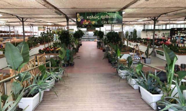 CITY FLOWER – ΓΚΕΛΗΣ ΓΕΩΡΓΙΟΣ Δ. – ΦΥΤΩΡΙΑ ΠΥΛΑΙΑ ΘΕΣΣΑΛΟΝΙΚΗΣ