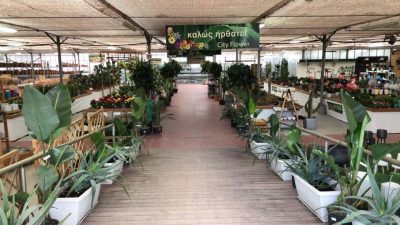 CITY FLOWER – ΓΚΕΛΗΣ ΓΕΩΡΓΙΟΣ Δ. – ΦΥΤΩΡΙΑ ΠΥΛΑΙΑ ΘΕΣΣΑΛΟΝΙΚΗΣ
