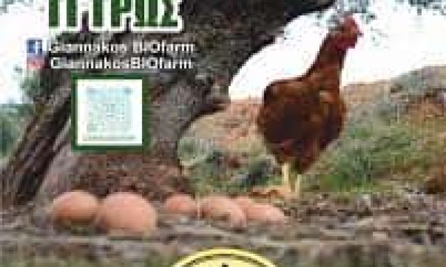 ΓΙΑΝΝΑΚΟΣ ΓΕΩΡΓΙΟΣ – GIANNAKOS BIOFARM – ΒΙΟΛΟΓΙΚΑ ΑΥΓΑ – ΤΟΠΙΚΑ ΠΡΟΙΟΝΤΑ – ΣΠΑΡΤΗ ΛΑΚΩΝΙΑΣ