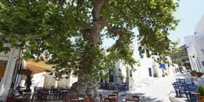 ΔΕΣΥΠΡΗΣ ΕΥΑΓΓΕΛΟΣ – ΔΥΟ ΧΩΡΙΑ – ΤΑΒΕΡΝΑ – ΤΗΝΟΣ ΚΥΚΛΑΔΕΣ