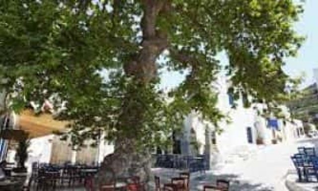 ΔΕΣΥΠΡΗΣ ΕΥΑΓΓΕΛΟΣ – ΔΥΟ ΧΩΡΙΑ – ΤΑΒΕΡΝΑ – ΤΗΝΟΣ ΚΥΚΛΑΔΕΣ