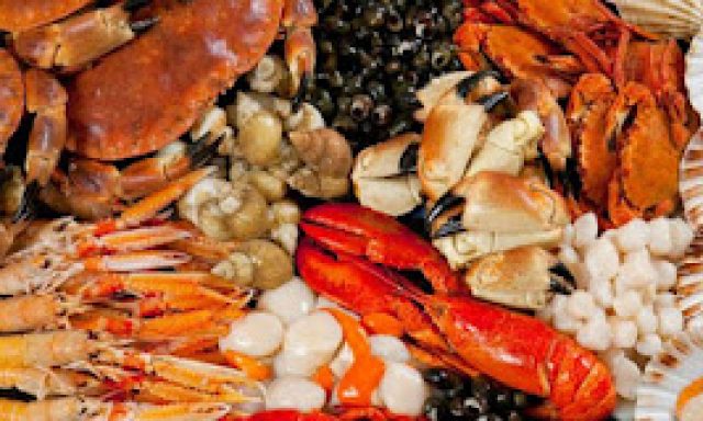 KORMARIS CRABS E.E – ΕΜΠΟΡΕΙΟ ΟΣΤΡΑΚΟΕΙΔΩΝ – ΚΟΖΑΝΗ
