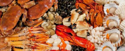 KORMARIS CRABS E.E – ΕΜΠΟΡΕΙΟ ΟΣΤΡΑΚΟΕΙΔΩΝ – ΚΟΖΑΝΗ