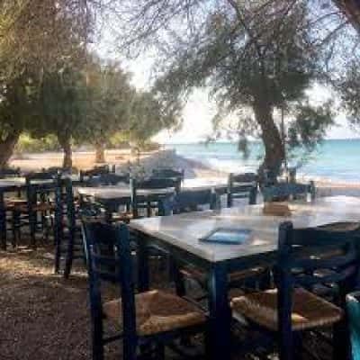 ΧΑΝΤΖΗΣ ΑΝΔΡΕΑΣ – ΚΟΧΥΛΙ – ΨΑΡΟΤΑΒΕΡΝΑ ΤΑΒΕΡΝΑ – ΔΙΑΚΟΠΤΟ ΑΧΑΪΑΣ